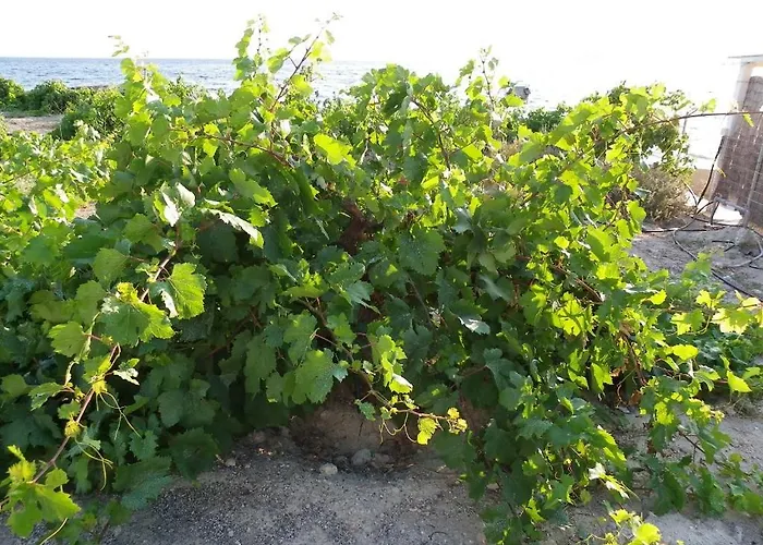 Pefkos Beachfront Pefki