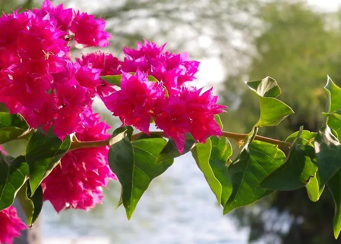 Villa Pefkos Beachfront *