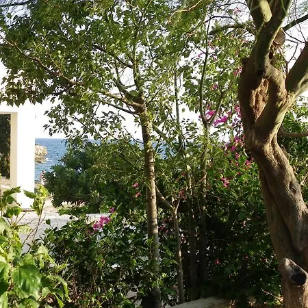 Pefkos Beachfront *