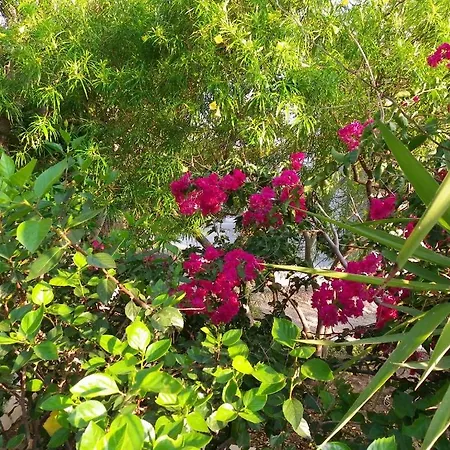 Pefkos Beachfront 别墅 Pefki