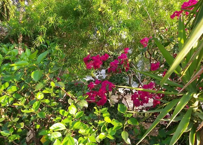 Pefkos Beachfront Βίλα Πεύκος