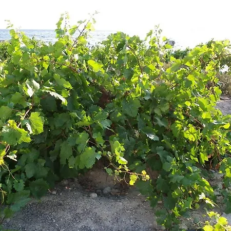 Pefkos Beachfront Pefki (Rhodes)